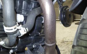 HUSQVARNA SVARTPILEN 250 2021