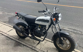HONDA Ape100 TypeD HC13