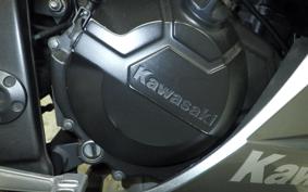 KAWASAKI NINJA 250 ABS 2020 EX250L