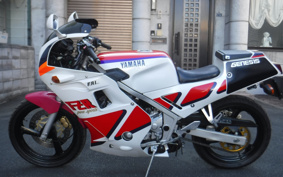 YAMAHA FZR250 2KR