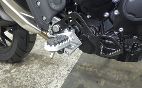 TRIUMPH TIGER 900 GT 2026