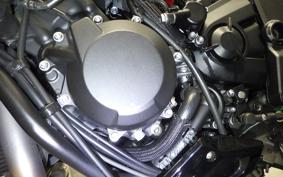 KAWASAKI ZH2 2021 ZRT00K