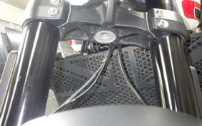 TRIUMPH TRIDENT 660 2022