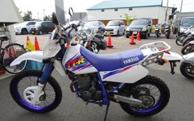 YAMAHA TT250R 4GY