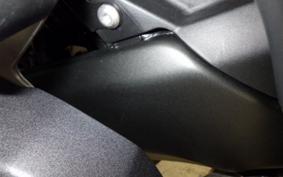 KAWASAKI NINJA 1000SX 2024 ZXT02K
