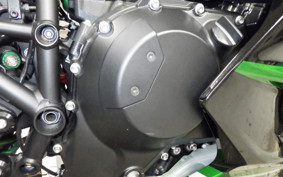 KAWASAKI NINJA H2 SX 2023 ZXT02P