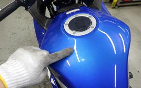 SUZUKI GSX250RA 2019