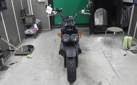 HONDA ZOOMER 2013 AF58