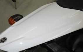 YAMAHA WR250X DG15J