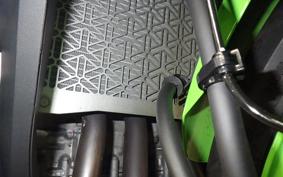 KAWASAKI ZX-4R SE 2024 ZX400P