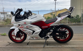 KAWASAKI NINJA 250R EX250K