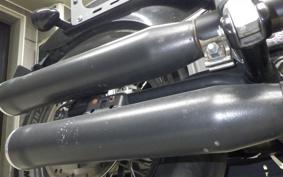 HARLEY FXBB1750 2019