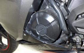 KAWASAKI NINJA 250 ABS 2024 EX250L