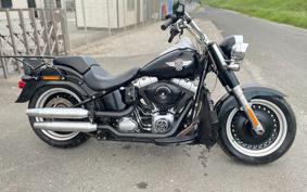 HARLEY FLSTFB 2009 JN5