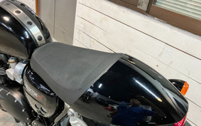 TRIUMPH THRUXTON 1200R 2022 DAD87H