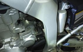 YAMAHA WR250R 2024 DG15J
