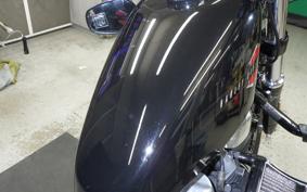 HARLEY XL1200X 2019