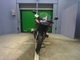 Фото BMW R1100S 1999 с японского аукциона