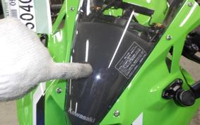 KAWASAKI ZX-4RR 2025 ZX400P