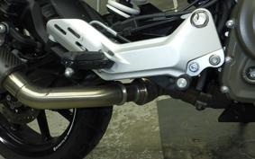 HUSQVARNA SVARTPILEN 250