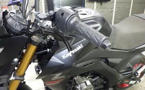 KAWASAKI Z125 PRO 2010 BR125H
