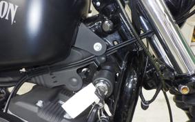 HARLEY XL883N 2015
