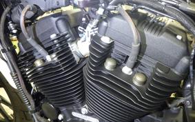 HARLEY XL1200NS 2018
