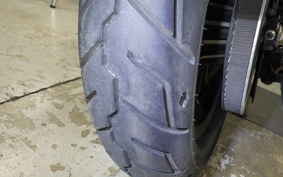 HARLEY XL883N 2015