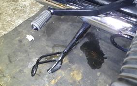 KAWASAKI W800 STREET 2020 EJ800B