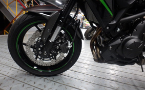 KAWASAKI VERSYS 650 2025 LE650H