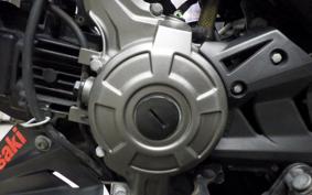 KAWASAKI Z125 PRO 2012 BR125H