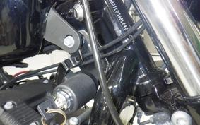 HARLEY XL1200NS 2020