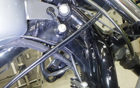 HARLEY XL1200NS 2020