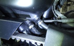 HARLEY XL883RI 2008