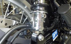 KAWASAKI W800 2022 EJ800E