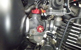 KAWASAKI W175 SE 2024
