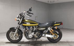 KAWASAKI Z900 2023 Z1F