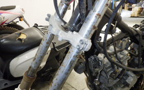 SUZUKI DR250 R-S 2005 SJ45A