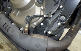 HUSQVARNA SVARTPILEN 401 2024