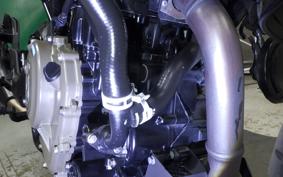 HUSQVARNA SVARTPILEN 401 2024