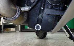 TRIUMPH TRIDENT 660 2024