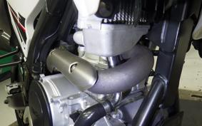 YAMAHA WR250X DG15J