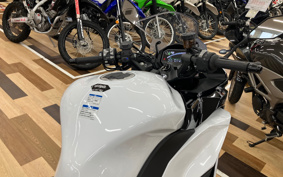 KAWASAKI NINJA 1100SX 2025 ZXT10H