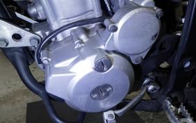 KAWASAKI KLX250 Gen.2 2024 LX250S