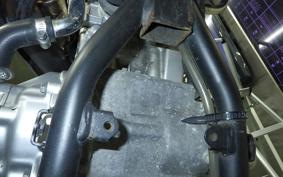 YAMAHA WR250X 2025 DG15J