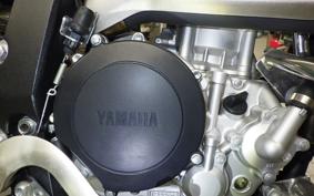YAMAHA WR250X 2023 DG15J
