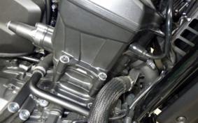 HONDA REBEL 1100 DCT 2024 SC83