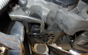HONDA BENLY 50 AA03