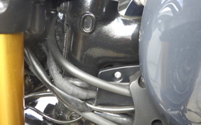 TRIUMPH SCRAMBLER 1200 XE 2019