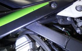 KAWASAKI KLX250 Gen.2 2024 LX250S